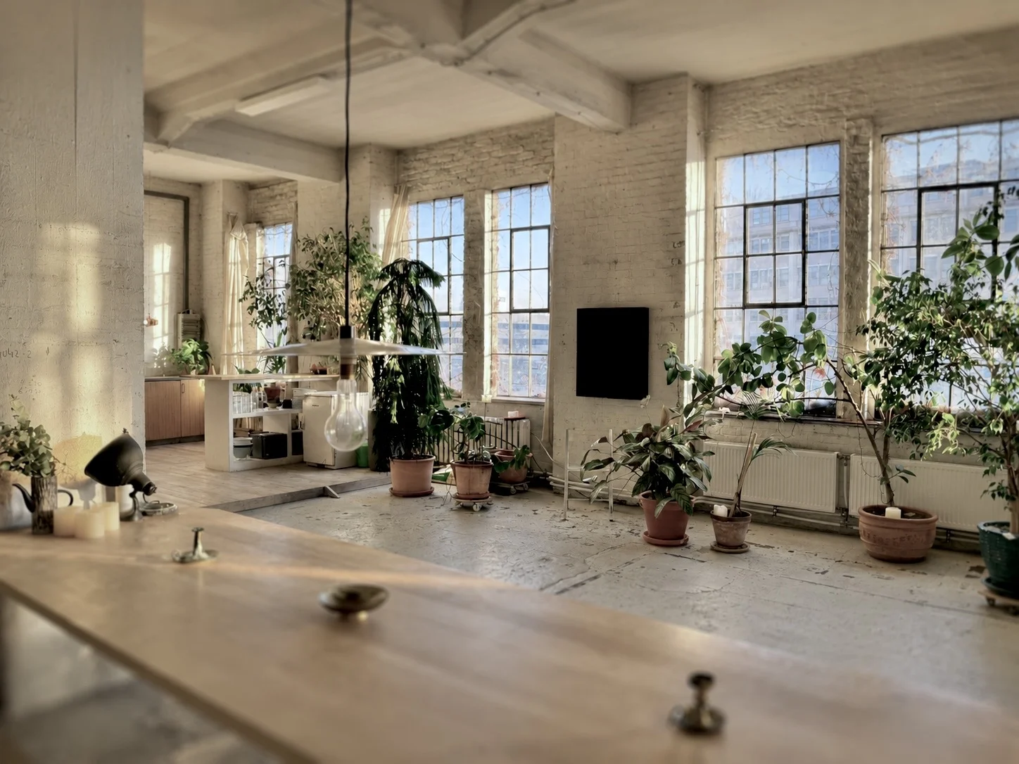 Helles Fotostudio mit großen Sprossenfenstern, Bühne, Topflanze, LED-Lichttechnik, Stativ und Sitzmöbel